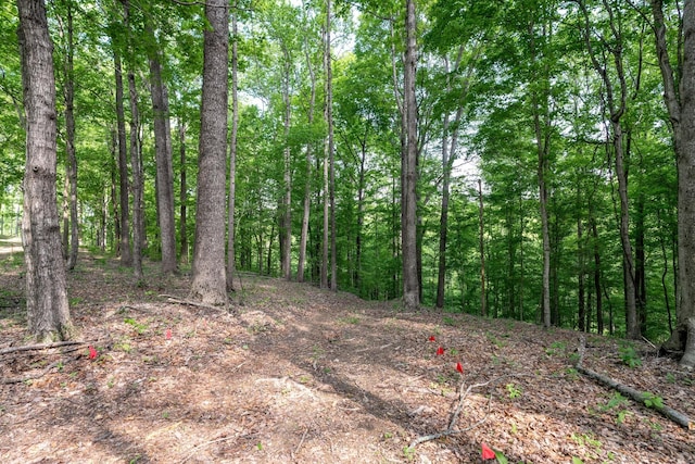 view of landscape featuring a wooded view