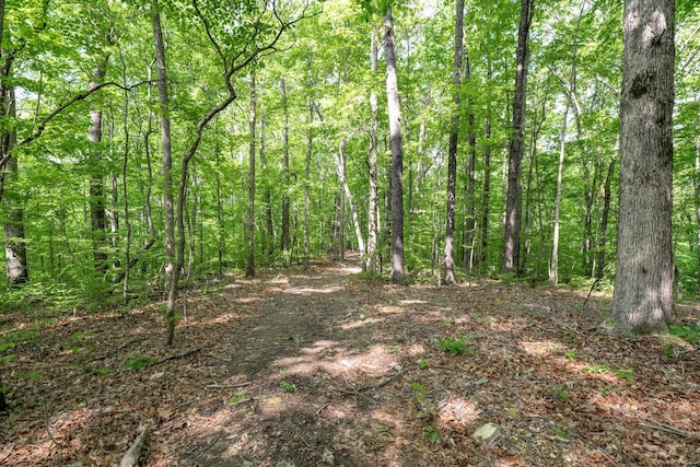 view of local wilderness featuring a wooded view
