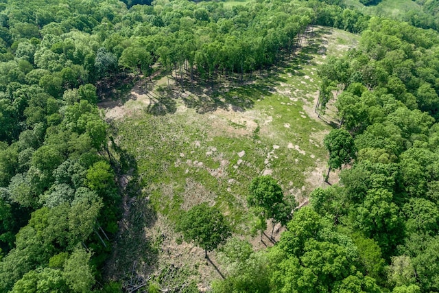bird's eye view with a wooded view