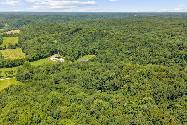5204 Drury Ln, Franklin, TN 37064 - photo 93