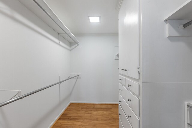 spacious closet with light wood-type flooring