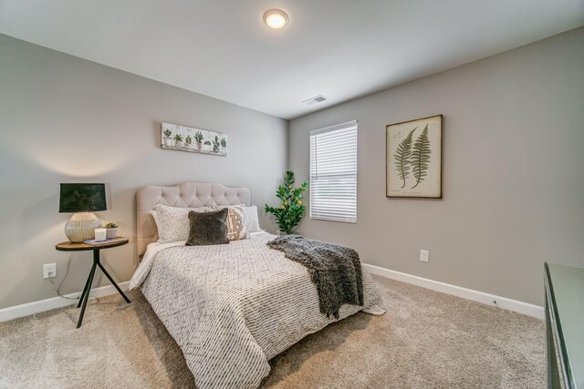 526 Tappan Ln, Gallatin, TN 37066 - photo 19