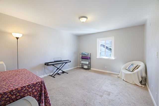 living area with baseboards and carpet flooring