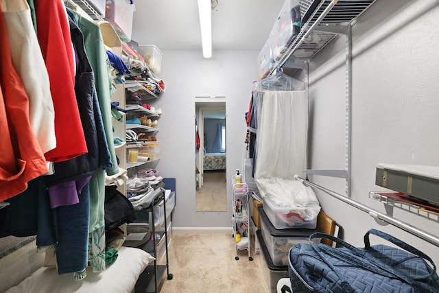 spacious closet with carpet floors