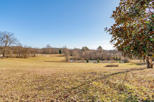 view of yard featuring a water view