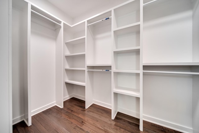 2509A Scovel St, Nashville, TN 37208 - walk in closet with dark wood-style flooring