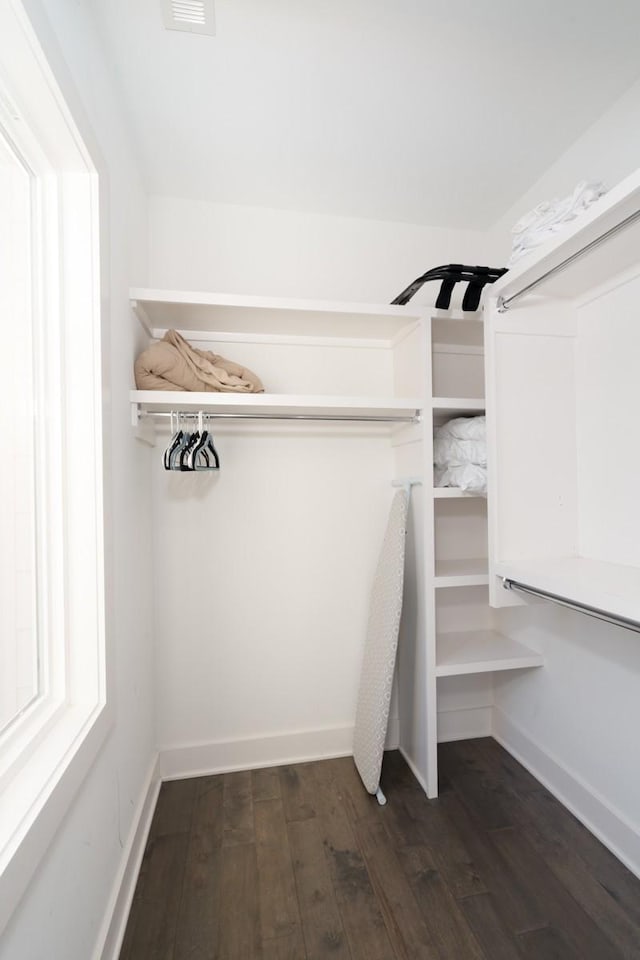spacious closet featuring dark wood finished floors
