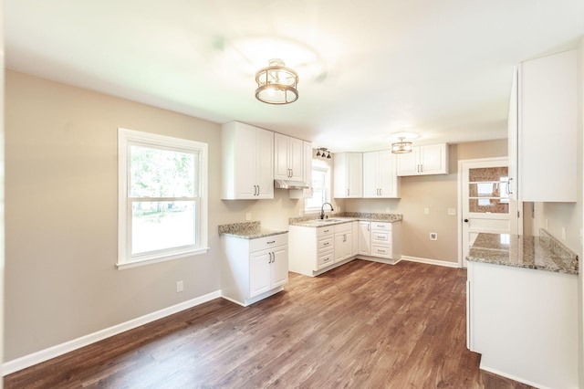 154 Church Ave, Watertown, TN 37184 - kitchen featuring white cabinetry, a wealth of natural light, a sink, and dark wood-type flooring