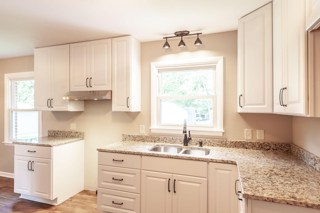 154 Church Ave, Watertown, TN 37184 - kitchen with a sink, wood finished floors, light stone counters, under cabinet range hood, and white cabinetry
