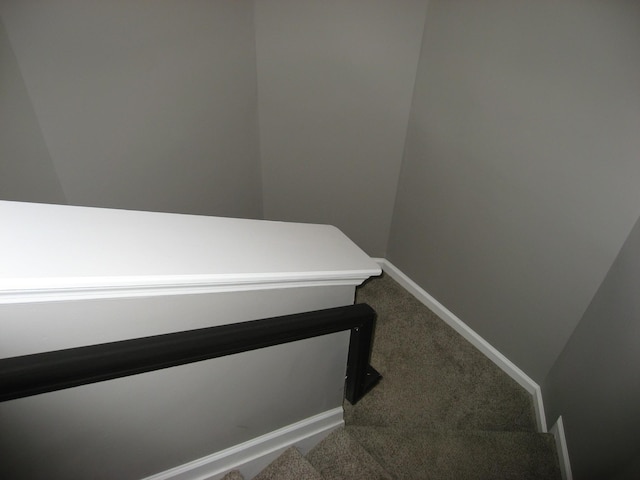 stairway featuring baseboards and carpet flooring