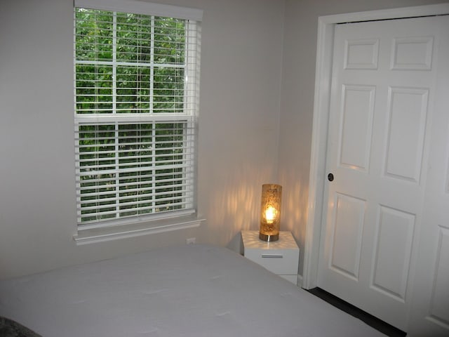 bedroom with multiple windows