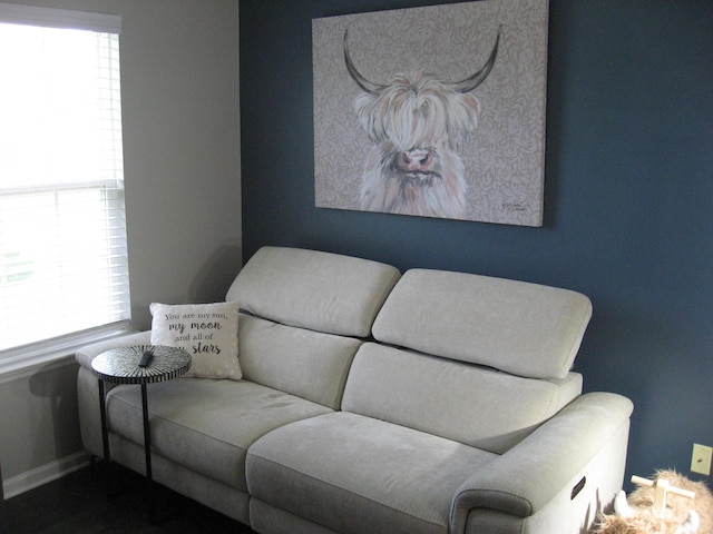 sitting room featuring plenty of natural light, baseboards, and wood finished floors