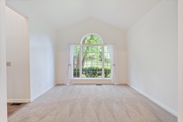 1069 Fitzpatrick Rd, Nashville, TN 37214 - spare room featuring healthy amount of natural light, carpet floors, vaulted ceiling, and baseboards