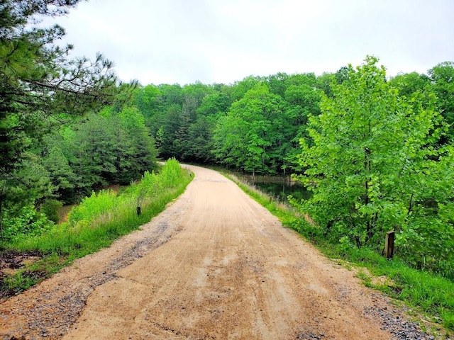 4179 Beaver Bend Dr, Nunnelly, TN 37137 - view of road