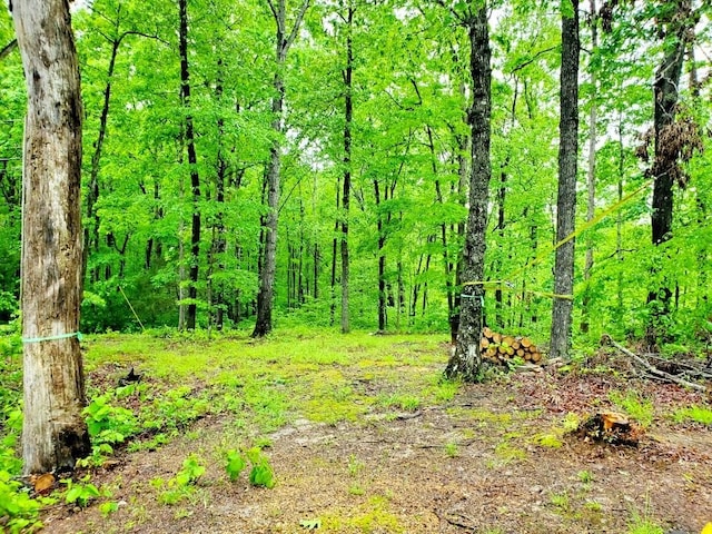 4179 Beaver Bend Dr, Nunnelly, TN 37137 - view of nature with a forest view