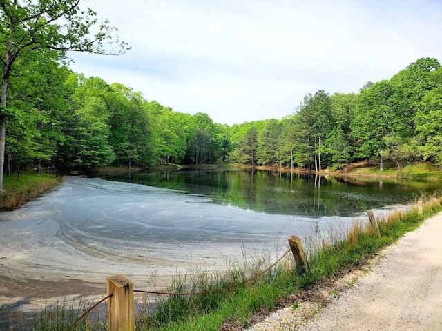 4179 Beaver Bend Dr, Nunnelly, TN 37137 - view of water feature with a view of trees