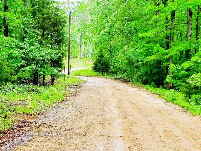 4179 Beaver Bend Dr, Nunnelly, TN 37137 - view of road