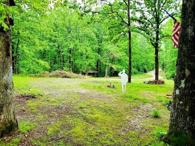 4179 Beaver Bend Dr, Nunnelly, TN 37137 - view of yard with a forest view