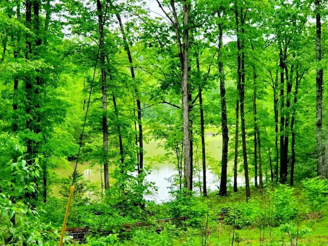 4179 Beaver Bend Dr, Nunnelly, TN 37137 - view of local wilderness featuring a water view