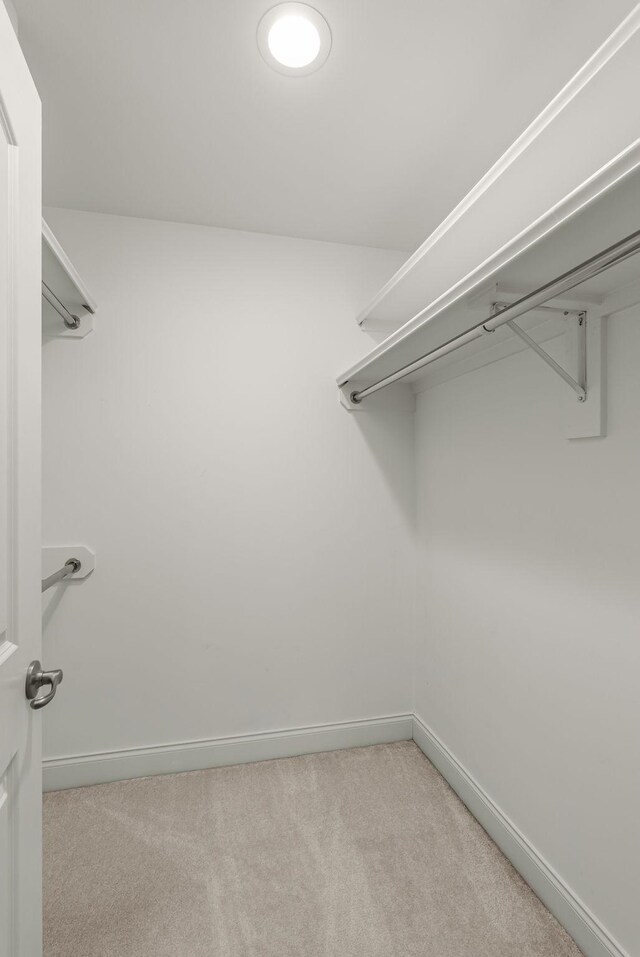 walk in closet with carpet