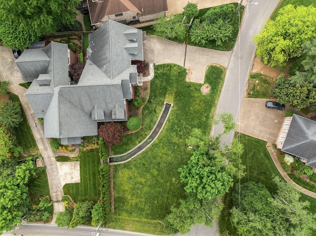 bird's eye view