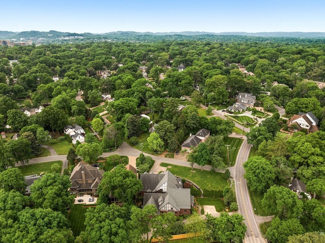 bird's eye view