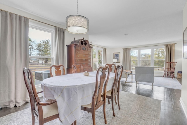 dining space featuring wood finished floors