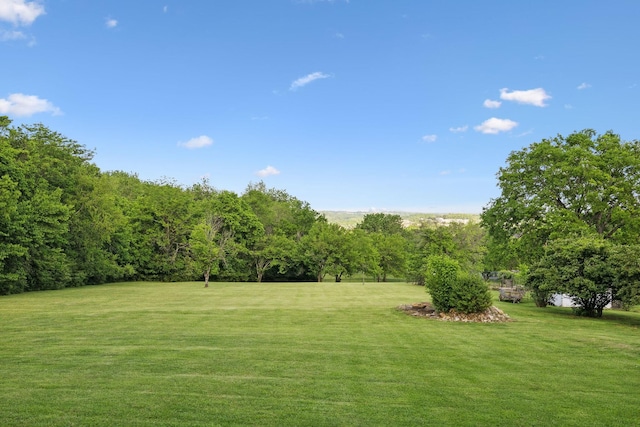 503 Brick Church Pike, Goodlettsville, TN 37072 - view of yard