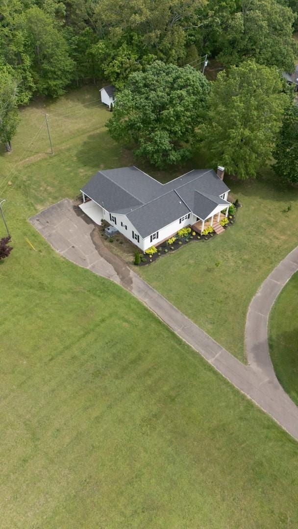 bird's eye view