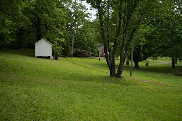 view of yard featuring an outbuilding and a shed