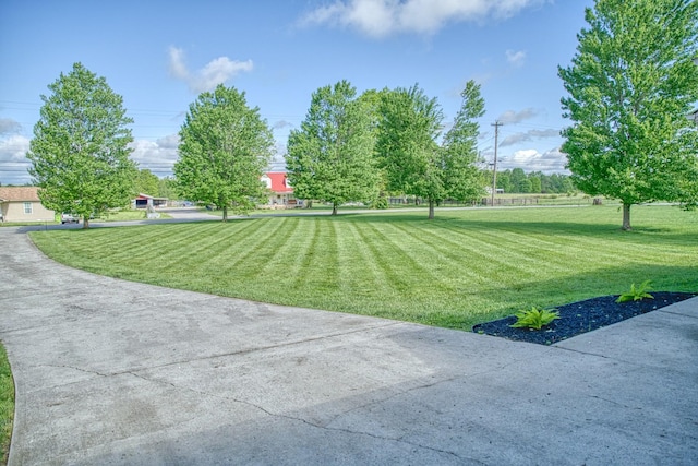 view of yard