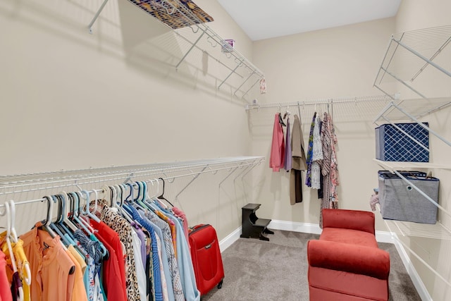 walk in closet with carpet floors