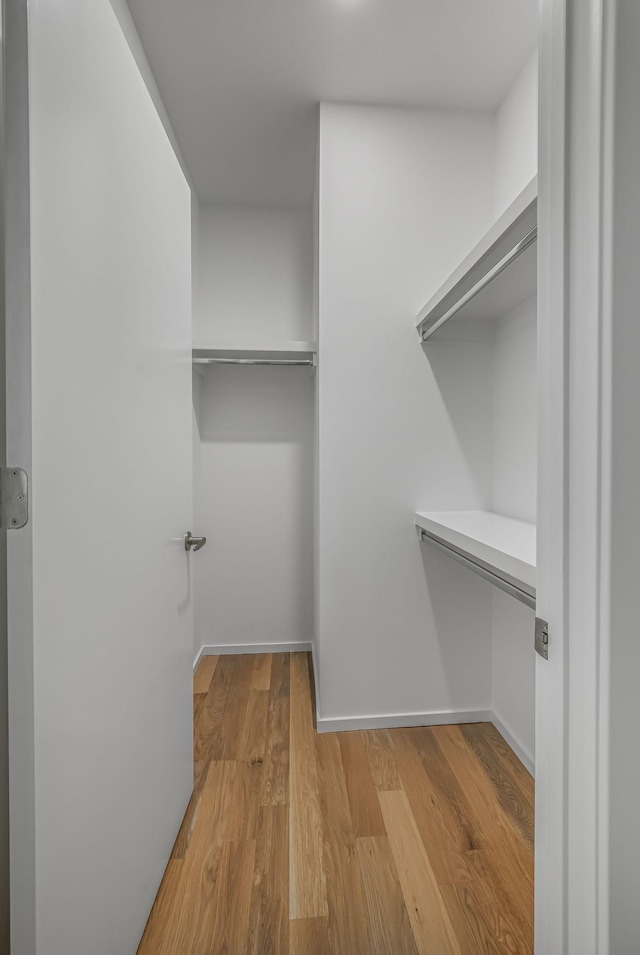 spacious closet featuring light wood-style floors