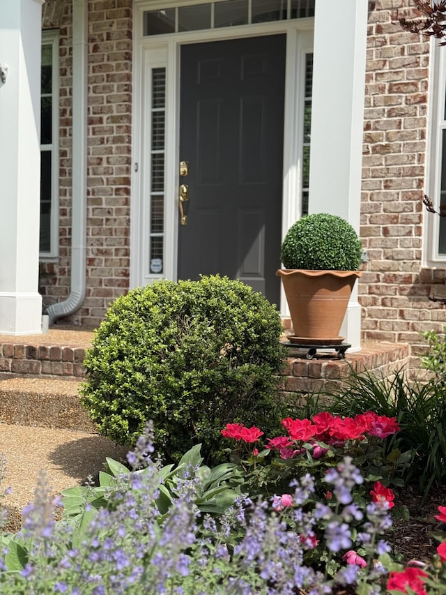 9404 Dove Field Ct, Brentwood, TN 37027 - view of exterior entry with brick siding