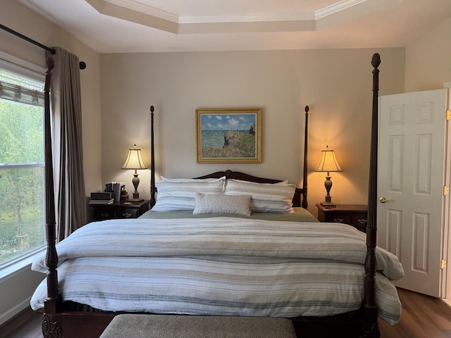 9404 Dove Field Ct, Brentwood, TN 37027 - bedroom featuring a tray ceiling, ornamental molding, and wood finished floors