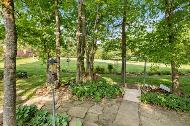 9404 Dove Field Ct, Brentwood, TN 37027 - view of yard