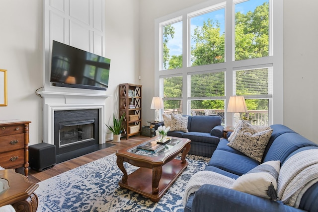 9404 Dove Field Ct, Brentwood, TN 37027 - living area featuring a wealth of natural light, wood finished floors, a towering ceiling, and a fireplace with flush hearth