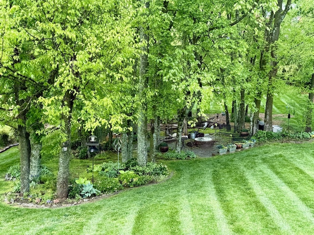 9404 Dove Field Ct, Brentwood, TN 37027 - view of yard