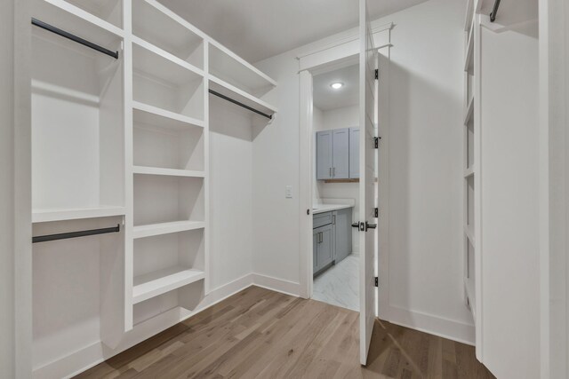 spacious closet featuring wood finished floors