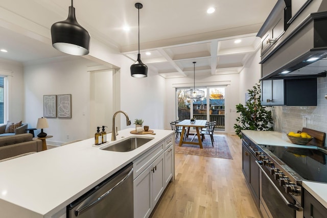 kitchen featuring a sink, light wood finished floors, stainless steel appliances, and plenty of natural light