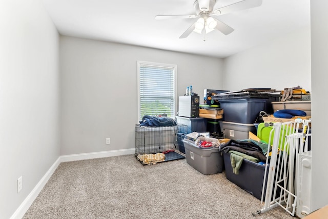 4 Earl Steel Rd W, Brush Creek, TN 38547 - storage with ceiling fan