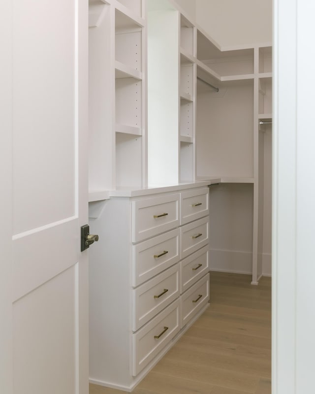 1408 Adams St, Franklin, TN 37064 - spacious closet with light wood-type flooring