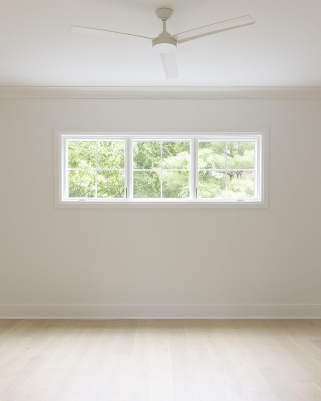 1408 Adams St, Franklin, TN 37064 - unfurnished room featuring plenty of natural light, light wood finished floors, and ceiling fan