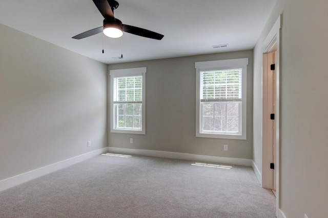 1145 Black Rock Rd, Clarksville, TN 37040 - photo 43