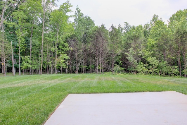 1145 Black Rock Rd, Clarksville, TN 37040 - photo 56