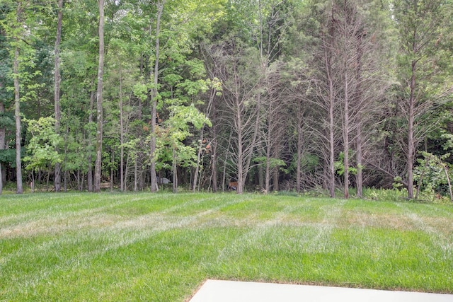 1145 Black Rock Rd, Clarksville, TN 37040 - photo 57