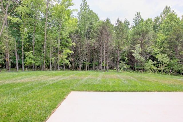 1145 Black Rock Rd, Clarksville, TN 37040 - photo 58