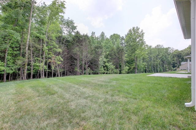 1145 Black Rock Rd, Clarksville, TN 37040 - photo 65