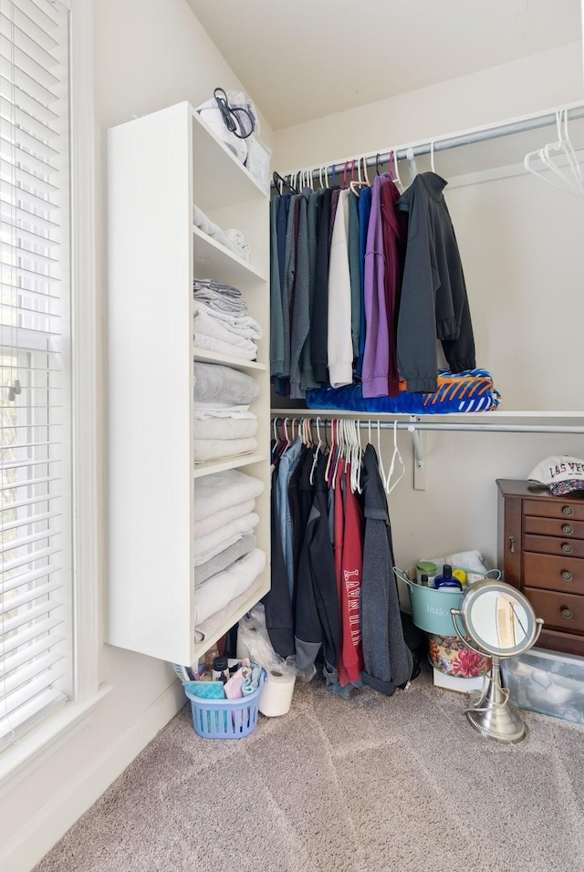 spacious closet with carpet floors