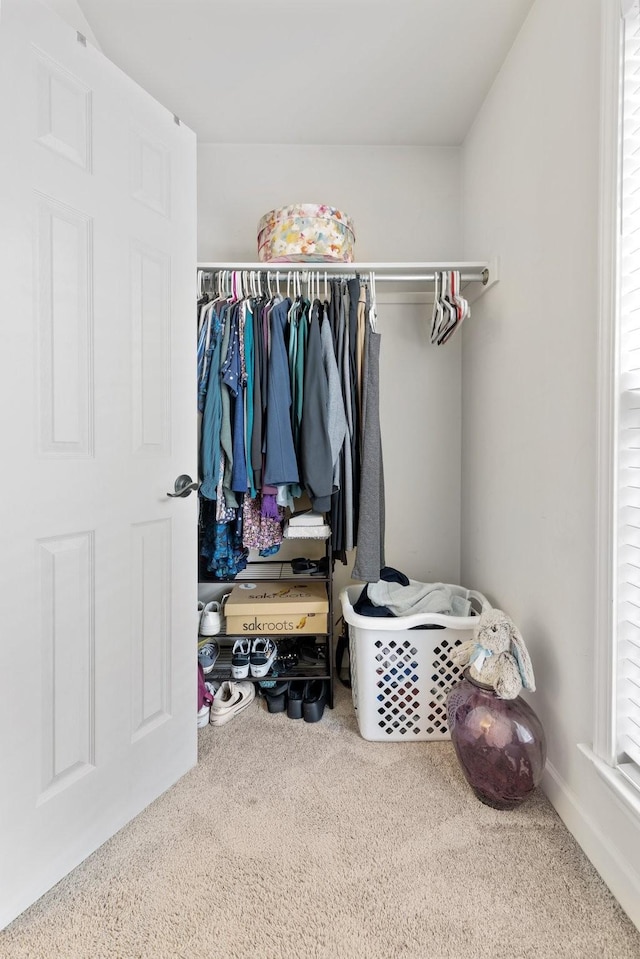 walk in closet with carpet floors